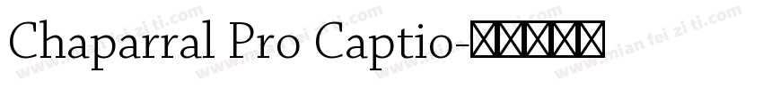 Chaparral Pro Captio字体转换